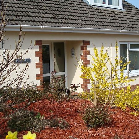 Talybont B&B Aberystwyth Tal-y-bont  Exterior foto